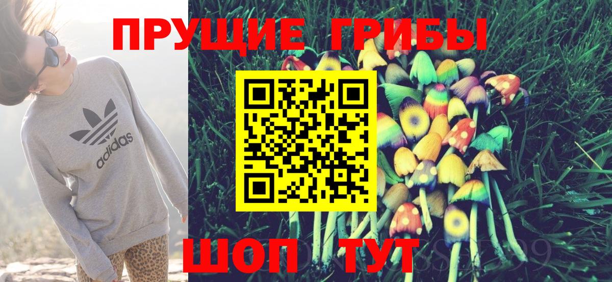Галлюциногенные грибы Psilocybe  Псилоцибиновые грибы GOLDEN TEACHER  Нальчик  хочу наркоту  Вход с VPN 